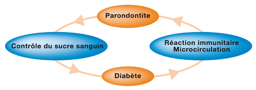 http://dr-diss-antoine.chirurgiens-dentistes.fr/dentiste/cms/upload/59_docteur-diss/fiche/paro-diabete.jpg