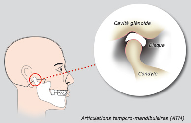 http://dr-diss-antoine.chirurgiens-dentistes.fr/dentiste/cms/upload/2_source/fiche/atm-generale-1.jpg